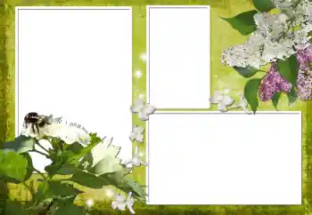 श्रेणी से फ़ोटो प्रभाव महिलाओं के फोटो फ्रेम № 70903