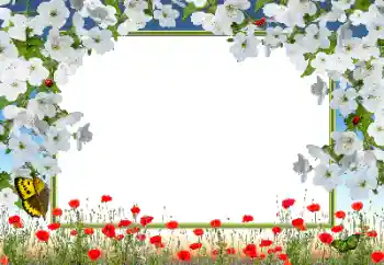 श्रेणी से फ़ोटो प्रभाव महिलाओं के फोटो फ्रेम № 72133