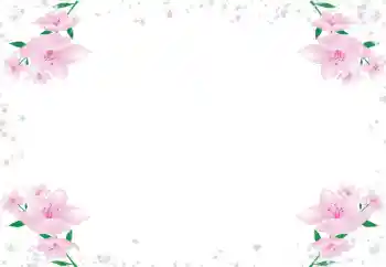 श्रेणी से फ़ोटो प्रभाव महिलाओं के फोटो फ्रेम № 72430