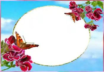 श्रेणी से फ़ोटो प्रभाव महिलाओं के फोटो फ्रेम № 73784