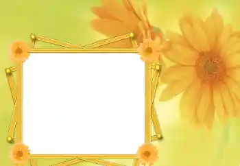 श्रेणी से फ़ोटो प्रभाव महिलाओं के फोटो फ्रेम № 76821