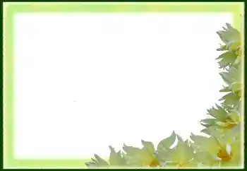 श्रेणी से फ़ोटो प्रभाव महिलाओं के फोटो फ्रेम № 79029