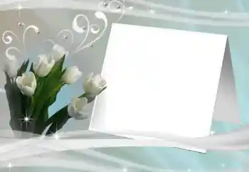 श्रेणी से फ़ोटो प्रभाव महिलाओं के फोटो फ्रेम № 80245