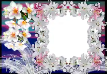 श्रेणी से फ़ोटो प्रभाव महिलाओं के फोटो फ्रेम № 80383