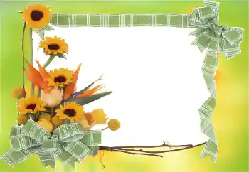 श्रेणी से फ़ोटो प्रभाव महिलाओं के फोटो फ्रेम № 81823