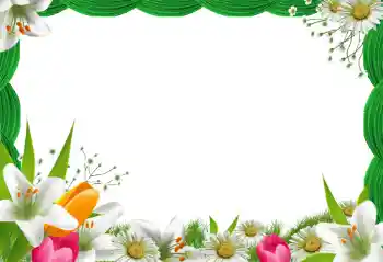 श्रेणी से फ़ोटो प्रभाव महिलाओं के फोटो फ्रेम № 82847