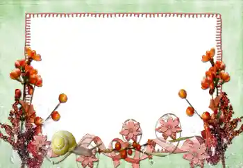 श्रेणी से फ़ोटो प्रभाव महिलाओं के फोटो फ्रेम № 84165