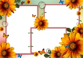 श्रेणी से फ़ोटो प्रभाव महिलाओं के फोटो फ्रेम № 84175