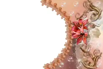 श्रेणी से फ़ोटो प्रभाव महिलाओं के फोटो फ्रेम № 85309