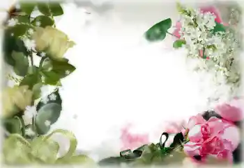 श्रेणी से फ़ोटो प्रभाव महिलाओं के फोटो फ्रेम № 85356