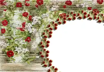 श्रेणी से फ़ोटो प्रभाव महिलाओं के फोटो फ्रेम № 85429