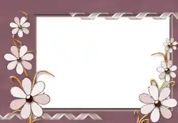 श्रेणी से फ़ोटो प्रभाव महिलाओं के फोटो फ्रेम № 86584