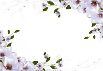 श्रेणी से फ़ोटो प्रभाव महिलाओं के फोटो फ्रेम № 87722