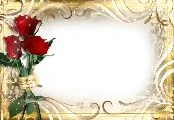 श्रेणी से फ़ोटो प्रभाव महिलाओं के फोटो फ्रेम № 89226