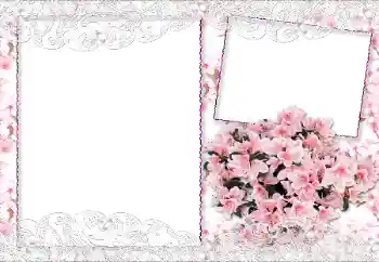 श्रेणी से फ़ोटो प्रभाव महिलाओं के फोटो फ्रेम № 89229