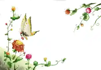 श्रेणी से फ़ोटो प्रभाव महिलाओं के फोटो फ्रेम № 89260