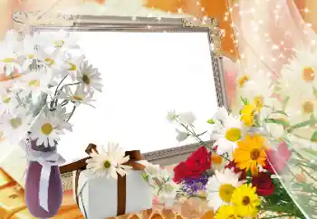 श्रेणी से फ़ोटो प्रभाव महिलाओं के फोटो फ्रेम № 89424