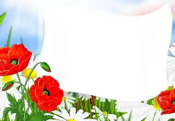 श्रेणी से फ़ोटो प्रभाव महिलाओं के फोटो फ्रेम № 91714