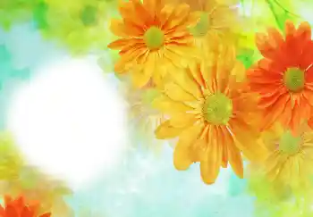 श्रेणी से फ़ोटो प्रभाव महिलाओं के फोटो फ्रेम № 91723