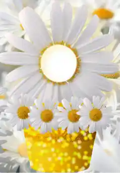 श्रेणी से फ़ोटो प्रभाव महिलाओं के फोटो फ्रेम № 91798