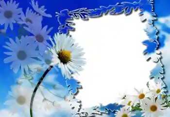 श्रेणी से फ़ोटो प्रभाव महिलाओं के फोटो फ्रेम № 91804