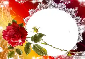 श्रेणी से फ़ोटो प्रभाव महिलाओं के फोटो फ्रेम № 93130