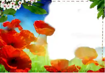 श्रेणी से फ़ोटो प्रभाव महिलाओं के फोटो फ्रेम № 93217