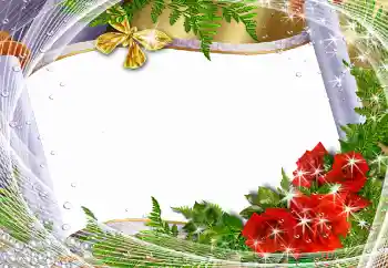 श्रेणी से फ़ोटो प्रभाव महिलाओं के फोटो फ्रेम № 93282