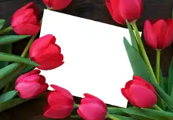 श्रेणी से फ़ोटो प्रभाव महिलाओं के फोटो फ्रेम № 93458