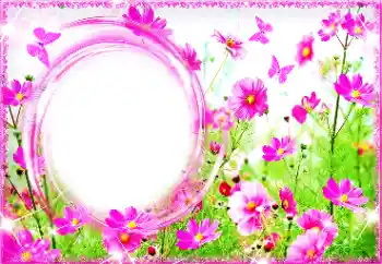 श्रेणी से फ़ोटो प्रभाव महिलाओं के फोटो फ्रेम № 94713