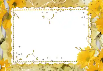 श्रेणी से फ़ोटो प्रभाव महिलाओं के फोटो फ्रेम № 94746