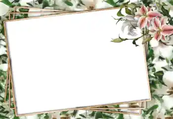 श्रेणी से फ़ोटो प्रभाव महिलाओं के फोटो फ्रेम № 94751