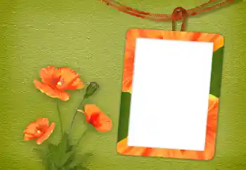 श्रेणी से फ़ोटो प्रभाव महिलाओं के फोटो फ्रेम № 94833