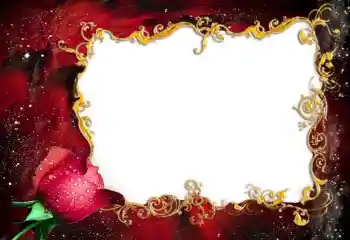 श्रेणी से फ़ोटो प्रभाव महिलाओं के फोटो फ्रेम № 94837