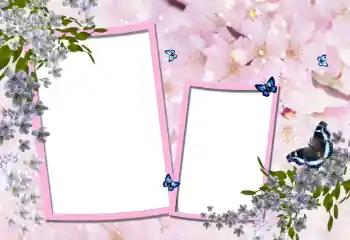 श्रेणी से फ़ोटो प्रभाव महिलाओं के फोटो फ्रेम № 95900