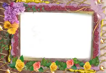 श्रेणी से फ़ोटो प्रभाव महिलाओं के फोटो फ्रेम № 95902