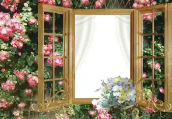 श्रेणी से फ़ोटो प्रभाव महिलाओं के फोटो फ्रेम № 96098