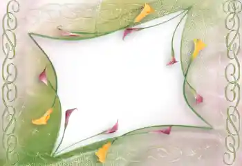 श्रेणी से फ़ोटो प्रभाव महिलाओं के फोटो फ्रेम № 96114