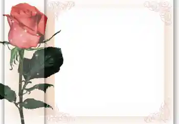 श्रेणी से फ़ोटो प्रभाव महिलाओं के फोटो फ्रेम № 96405