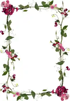 श्रेणी से फ़ोटो प्रभाव महिलाओं के फोटो फ्रेम № 97451