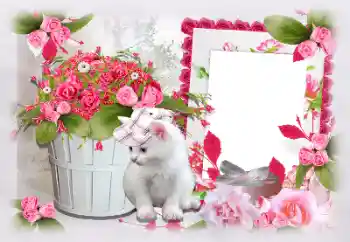 श्रेणी से फ़ोटो प्रभाव महिलाओं के फोटो फ्रेम № 97470