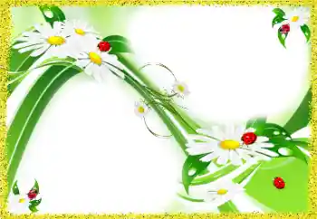 श्रेणी से फ़ोटो प्रभाव महिलाओं के फोटो फ्रेम № 97688