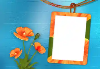 श्रेणी से फ़ोटो प्रभाव महिलाओं के फोटो फ्रेम № 98705