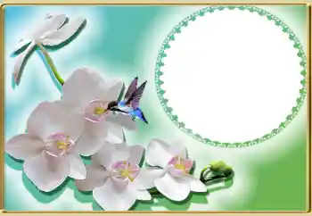 श्रेणी से फ़ोटो प्रभाव महिलाओं के फोटो फ्रेम № 99814