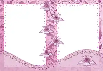 श्रेणी से फ़ोटो प्रभाव महिलाओं के फोटो फ्रेम № 99881