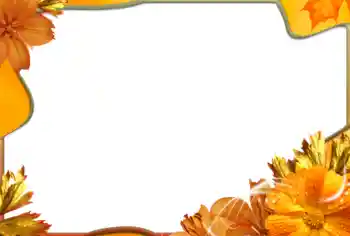 श्रेणी से फ़ोटो प्रभाव महिलाओं के फोटो फ्रेम № 99971